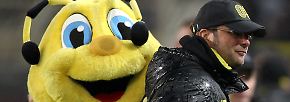 Fußball-Maskottchen in Deutschland: Die peinlichen Tiere der Bundesliga