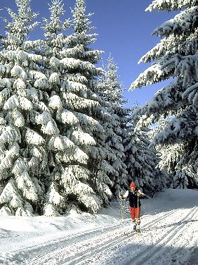 In durchschnittlichen Jahren ist im Bayerischen Wald an 150 Tagen Langlaufen möglich.