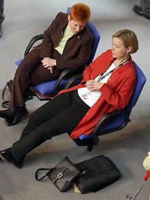 Lötzsch und Pau im Bundestag 2002.