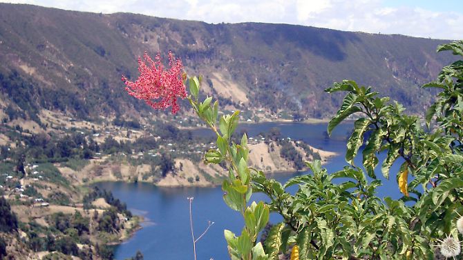 Frühling am Wenchi-Kratersee in Äthiopien - hier können Touristen wandern, reiten oder mit einem Boot fahren.