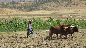 Landwirtschaft wie vor Tausend Jahren in der nordäthiopischen Provinz Tigray 