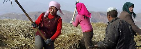 Die Landwirtschaft in China ist ein hartes Geschäft.