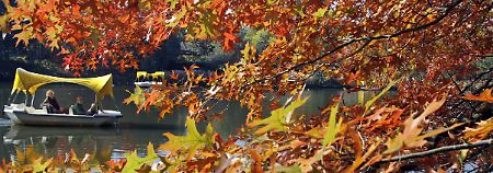 "Indian summer" im Luisenpark in Mannheim.