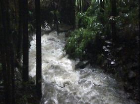 Das Finale wird doch nicht ins Wasser fallen?