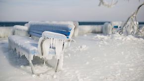 Extremkälte in Europa: Frost fordert Hunderte Menschenleben