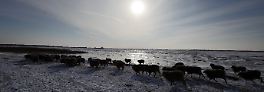 Von Plön bis zum Bodensee: Extremfrieren in Deutschland