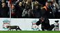 Einen Namen hat die Anfield-Katze nicht, aber drei Twitter-Accounts und fast 50.000 Fans.