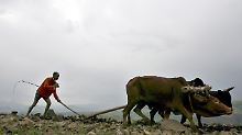 Knackpunkte der Klimakonferenz: Armut steht im Vordergrund