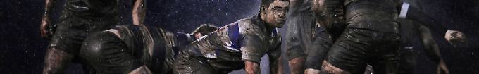 Die besten Bilder des Jahres: World Press Photo 2012