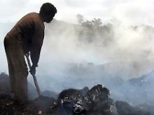 Ein Mann hackt im Manjakatompo-Wald in der Nähe der Stadt Ambatolompy auf Madagaskar Holzkohle.