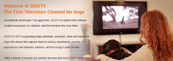 So geht es zu bei DOGTV.