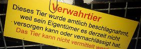 Der Verein kann für Zschäpes Katzen keine neuen Besitzer suchen.