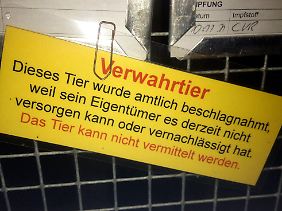 Der Verein kann für Zschäpes Katzen keine neuen Besitzer suchen.