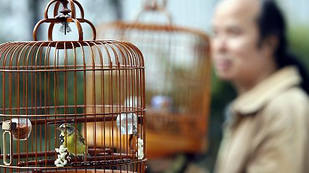 Kleine Tiere für kleine Wohnungen: ...