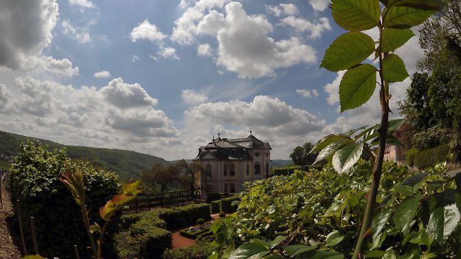 Frühling in den Parks von Dornburg, im Hintergrund das Dornburger Rokokoschloss.