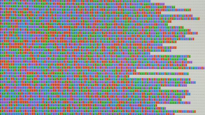 Auszug des genetischen Codes des Ehec-Erregers O104.
