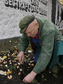 Im November 2008 pflanzte Wargin Tulpenzwiebeln in seinem "Parlament der Bäume". Mit 30.000 Blumen will er an die Toten des 2. Weltkrieges und die Maueropfer erinnern.