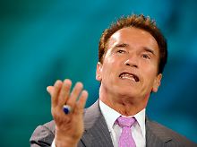 "Reiner Zufall": Schwarzenegger bestreitet, eine Botschaft versteckt zu haben.