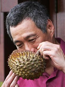 Durian: Eine Spezialität für den ganz speziellen Geschmack.
