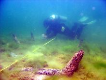 Ein Tauch-Archäologe im Bodensee. 