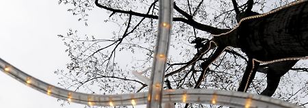 Vieles hängt jetzt am Weihnachtsgeschäft: Unter den Linden in Berlin laufen die Dekorationsanstrengungen auf vollen Touren.