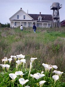 Das von 1854 stammende Ford House in der Main Street in Mendocino.