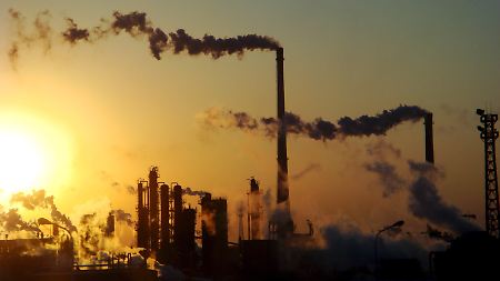 Natur nimmt immer weniger CO2 auf: Emissionen stark gestiegen