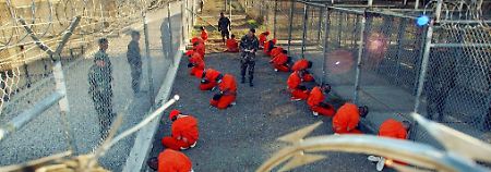 Wohin mit den Guantanamo-Häftlingen? Nach Deutschland nicht, sagt Unionsfraktionschef Kauder.