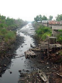Einer der ins Torfmoor geschlagenen Kanäle in Kalimantan. 