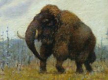 Ein Mammut. (Gemälde von K. K. Flerov)