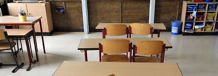 Maßnahme gegen Schweinegrippe: Schulfrei verhindert Ansteckung