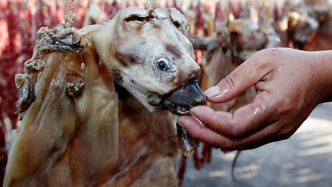 Außergewöhnliche Delikatesse: Hundefleisch auf Chinas Tischen