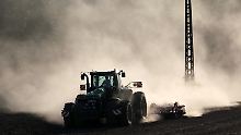 Dürren, Hochwasser, Pollen und Zecken: Klimawandel wird für Probleme sorgen