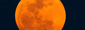 Der Erde so nah: Himmelsschauspiel mit Supermond 