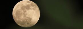 Der Erde so nah: Himmelsschauspiel mit Supermond 
