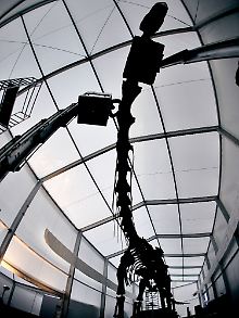 ... wird an das 15 Meter lange Skelett geschraubt.