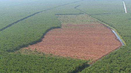 Riesige braune Ödflächen, wo einst üppiger Tropenwald wuchs, sind rund um Pekanbaru auf der indonesischen Insel Sumatra zu sehen.