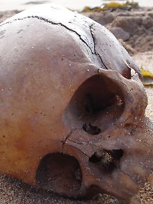 Stirbt ein Lebewesen, nimmt es kein C-14 mehr auf, und die Aktivität klingt in 5730 Jahren um die Hälfte ab.