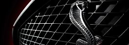 Caroll Shelby ist tot: Wenn die Cobras Trauer tragen