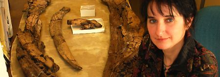 Sassoon, Forscherin der britischen Universität Bristol, sitzt neben dem Unterkiefer eines Westbury- Pliosaurier-Fossils.