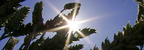 Solarkraft aus dem Weltraum: Japan fängt Sonnenstrahlen ein