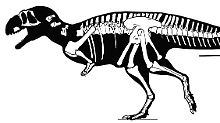 Wissenschaftler haben in Südamerika ein Raubsaurier-Fossil aus der Jurazeit entdeckt.