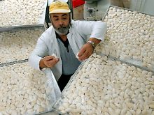 Pelmeni werden auch industriell hergestellt, zum Beispiel in der Pelmeni-Fabrik in Rostock. Etwa 40 Tonnen der Teigtäschchen produziert das kleine Unternehmen pro Monat.