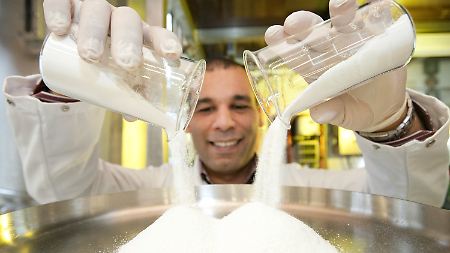 Verspricht Stärkung für das Immunsystem: pulverförmiges Cyanophycin Dipeptid.