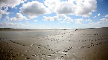Menschliche Fußspuren im Wattenmeer vor Vollerwiek.