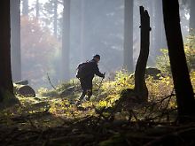 Wanderer im Taunus: Irgendwann kommt man immer irgendwo an.