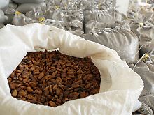 Bereit für den Export in die Industrieländer: Säckeweise Kakakobohnen aus Brasilien.