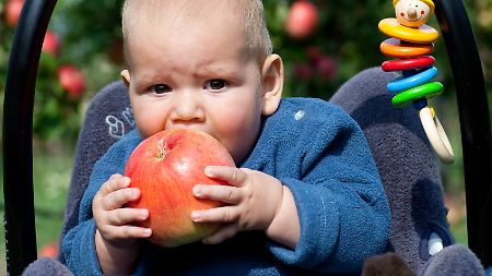 Äpfel sind gesund - auch für die Verdauung.
