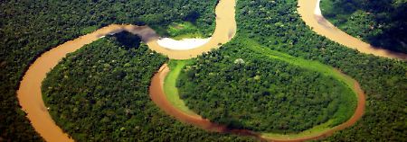 Heimat zahlloser Arten: der Yasuní-Nationalpark in Ecuador.