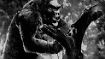 Die Atomkatastrophe in Film und Manga: Godzilla, Hiroshima und der GAU